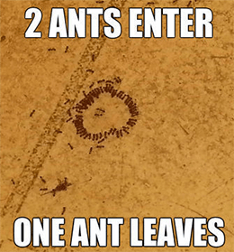The Shanghai Stock Exchange suspended Ant’s IPO.