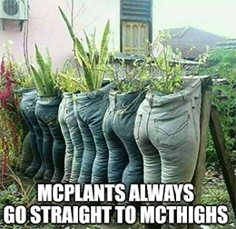 MCD shares started out the day up more than 3%, but gains slipped away after the McPlant announcement.