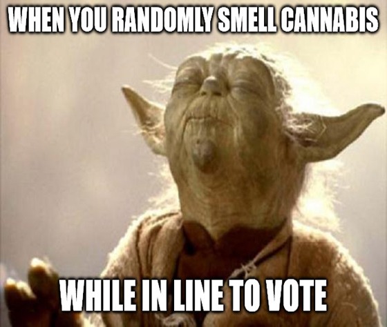 The madness is almost over, but what if Election Day plays out in cannabis’ favor? What stocks should you look at?
