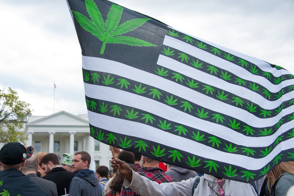 November 3 was a big day for the marijuana legalization movement.