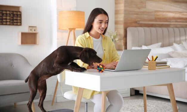 Despite COVID-19, Americans Still Spend Big on Pets