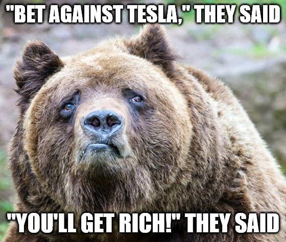 Bet Against Tesla Meme Bet Against Tesla Meme