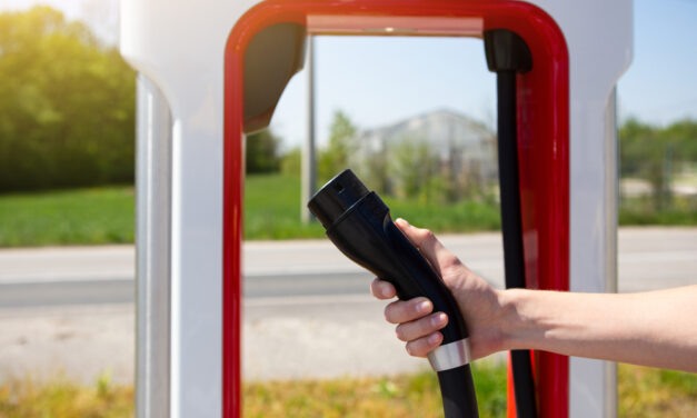 Did You Miss out on TSLA? You Didn’t Need To