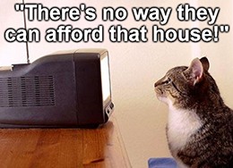 Cat house hunters DISCA first subscribers meme