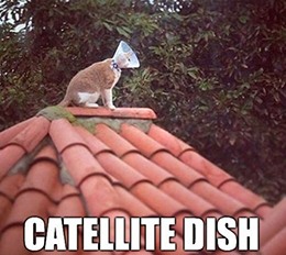 Catellite Dish networks losing subs (still) meme