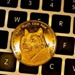 Dogecoin was created by a couple bitcoin developers with a sense of humor. Then Tesla CEO Elon Musk tipped off a 600% rally.