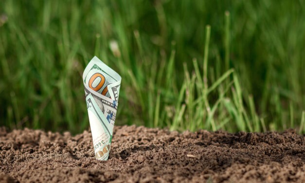Poll: Where to Find Income in a Zero Interest World