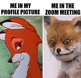 Profile vs. zoom meeting fox meme