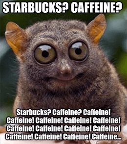 SBUX stimulated on caffeine reopening March 2021 meme