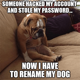 Hacked account rename dog CRWD meme