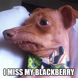 I miss my BlackBerry March 2021 meme