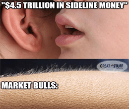 $4.5 trillion in sideline money bullish goosebumps meme small