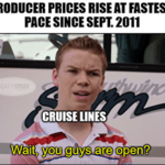 PPI rises fastest pace since Sept 2011 cruises meme small