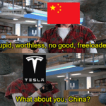 Stupid worthless no good freeloading Tesla China meme small