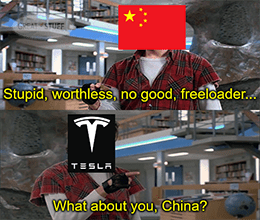 Stupid worthless no good freeloading Tesla China meme small