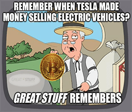 Remember when tesla made money selling evs? meme small