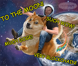Doge to the moon wow much Musk meme small