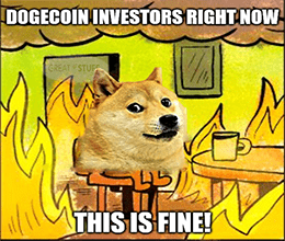 Dogecoin investors this is fine meme small