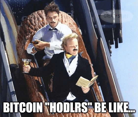 Bitcoin hodlers be like meme big