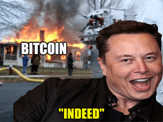 Bitcion Musk house on fire meme
