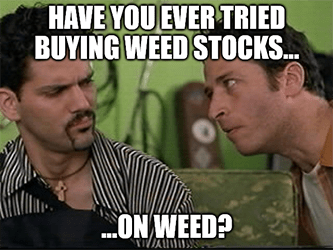 Have you tried buying weed stocks? half baked meme