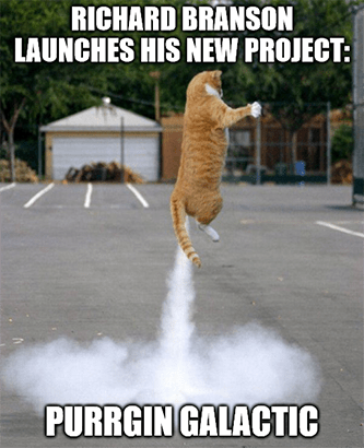 Purrgin Galactic meme