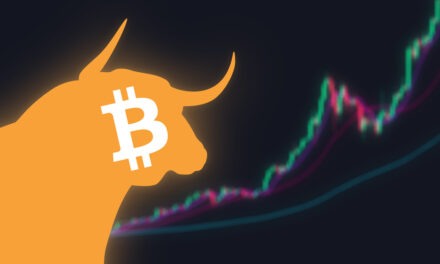 Here are some strategies to deal with crypto’s volatility and help keep you on the bucking bull.
