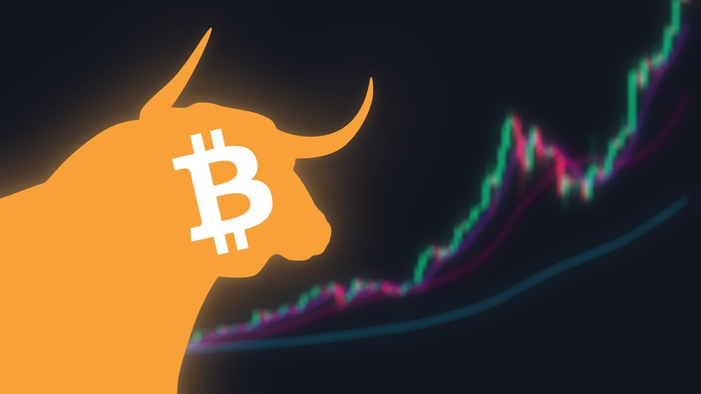Here are some strategies to deal with crypto’s volatility and help keep you on the bucking bull.