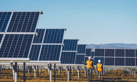 Solar power will be a big part of the New American Economy. So, read on to find out if your state is a solar power leader…