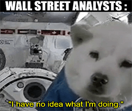 Wall Street analysts dog in space no idea what I'm doing meme small