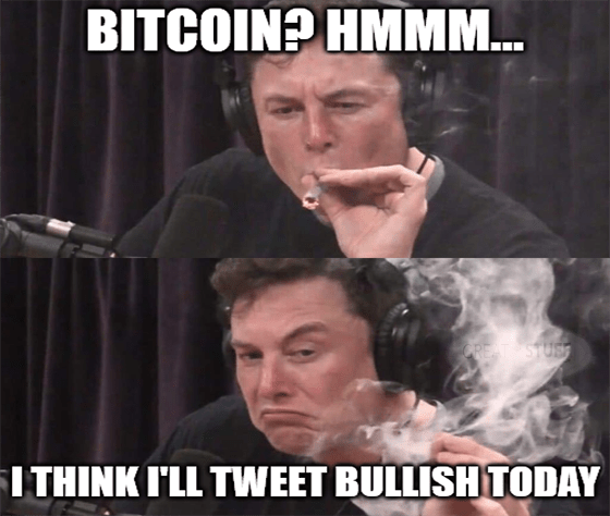 Musk bitcoin tweet bullish indecisive meme big