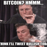 Musk bitcoin tweet bullish indecisive meme small