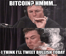Musk bitcoin tweet bullish indecisive meme small