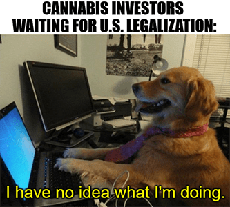Cannabis investors waiting for U.S. legalization have no idea dog meme