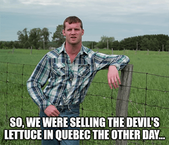 Letterkenny we were selling devil's lettuce Quebec meme