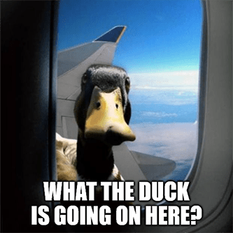 What the duck is going on here plane Boeing LUV meme