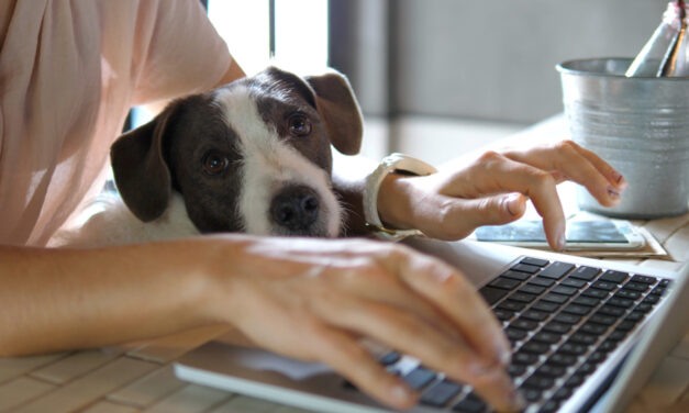 Work-From-Home Culture Powers This Tech Boom