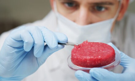 3d printed meat
