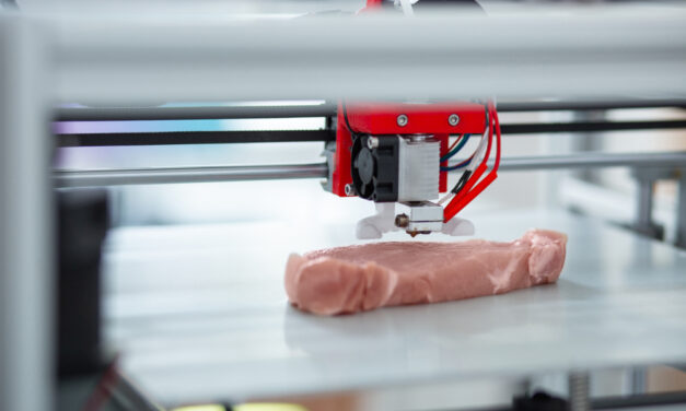 We Asked, You Answered: 3D-Printed Meat