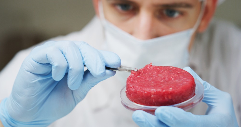 3d printed meat