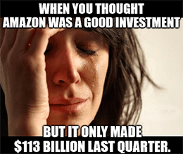 Thought Amazon good investment only made $113B meme small