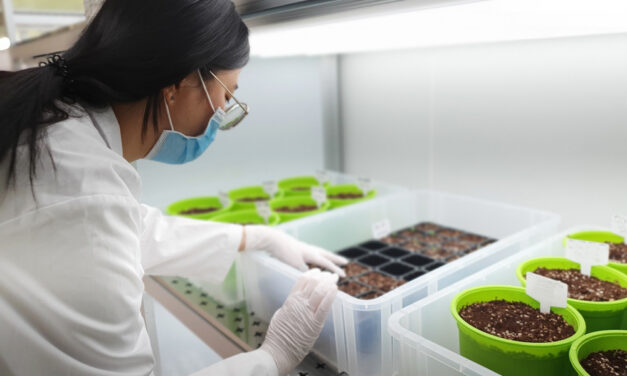 This Hot Tech Will Unleash a Cannabis Boom