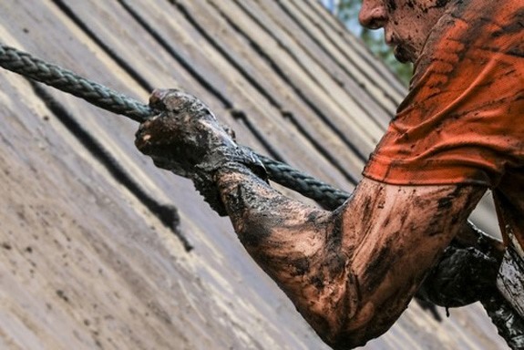 stay strong despite stock market volatitlity