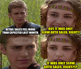 Retail sales fell only auto sales right? Padme meme small