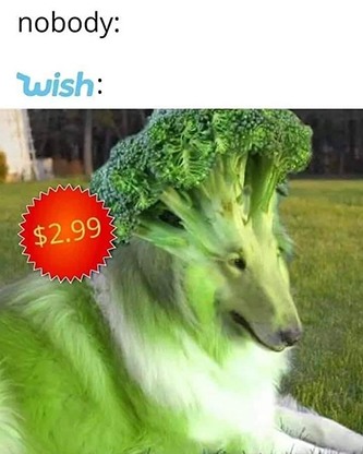 Wish be like broccoli dog meme