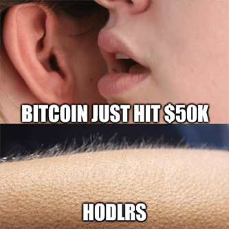 Bitcoin hit $50K hodlers get goosebumps rally meme