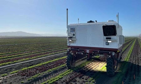 carbon robotics weeding robot
