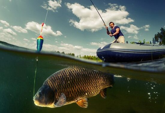4 Steps to Know When to Fish or Cut Bait on a Stock