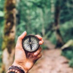 fed tapering "what if" survival guide