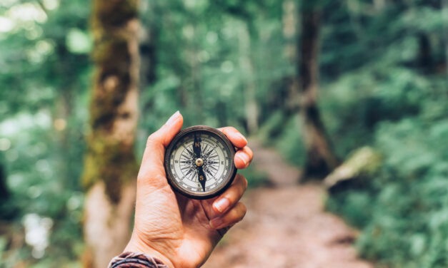 Your “What if” Survival Guide to Fed Tapering